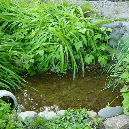 Adonis D'hotes Panzió 3*